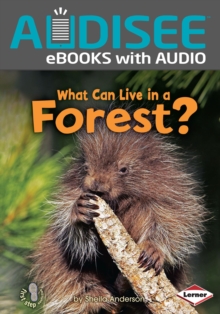 What Can Live in a Forest?