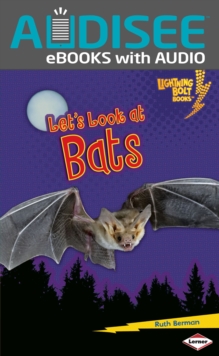 Let's Look at Bats