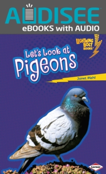 Let's Look at Pigeons