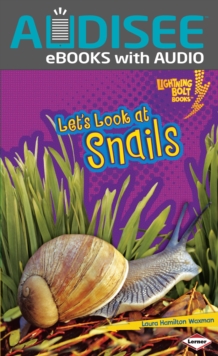 Let's Look at Snails