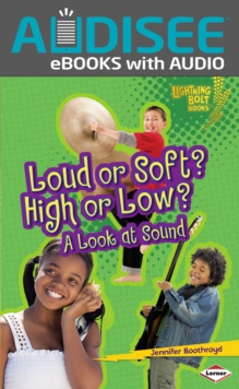 Loud or Soft? High or Low? : A Look at Sound