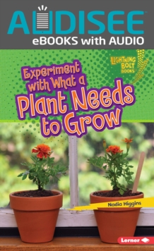 Experiment with What a Plant Needs to Grow