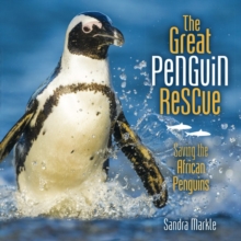 The Great Penguin Rescue : Saving the African Penguins