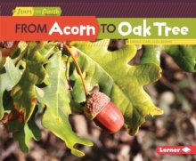 From Acorn to Oak Tree