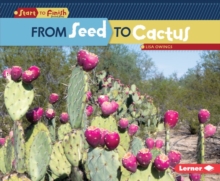 From Seed to Cactus