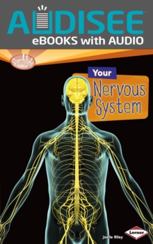 Your Nervous System