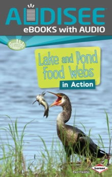 Lake and Pond Food Webs in Action