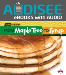 From Maple Tree to Syrup