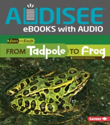 From Tadpole to Frog