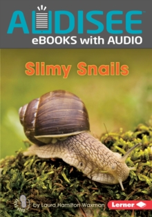 Slimy Snails