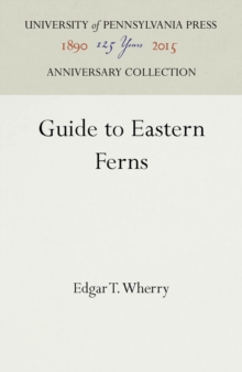 Guide to Eastern Ferns