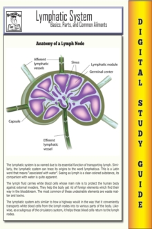 Lymphatic System ( Blokehead Easy Study Guide)