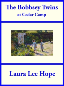 The Bobbsey Twins at Cedar Camp