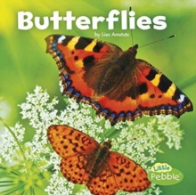 Butterflies, Paperback Book Butterflies, Paperback Book