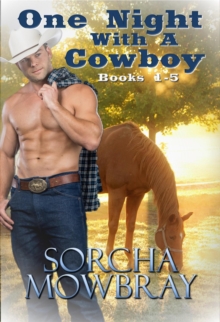 One Night With A Cowboy (Books 1-5)