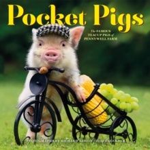 2020 Pocket Pigs Wall Calendar, Calendar Book 2020 Pocket Pigs Wall Calendar, Calendar Book