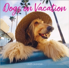 Dogs on Vacation Wall Calendar 2025