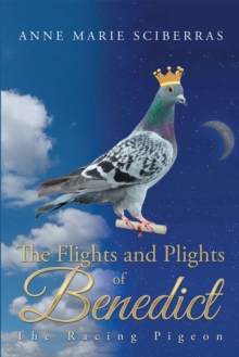 The Flights and Plights of Benedict : The Racing Pigeon