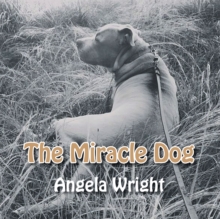 The Miracle Dog