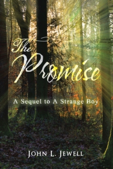 The Promise : A Sequel to a Strange Boy