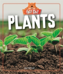 Fact Cat: Science: Plants, Paperback / softback Book Fact Cat: Science: Plants, Paperback / softback Book