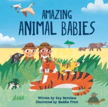Look and Wonder: Amazing Animal Babies, Hardback Book Look and Wonder: Amazing Animal Babies, Hardback Book