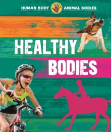 Healthy Bodies, Paperback / softback Book Healthy Bodies, Paperback / softback Book