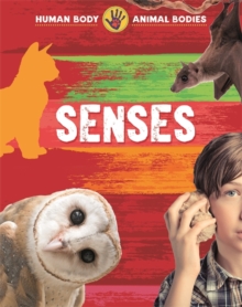 Human Body, Animal Bodies: Senses, Hardback Book Human Body, Animal Bodies: Senses, Hardback Book