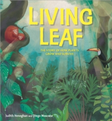 Plant Life: Living Leaf : The Story of How Plants Grow and Survive, Paperback / softback Book Plant Life: Living Leaf : The Story of How Plants Grow and Survive, Paperback / softback Book