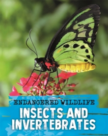 Endangered Wildlife: Rescuing Insects and Invertebrates, Hardback Book Endangered Wildlife: Rescuing Insects and Invertebrates, Hardback Book