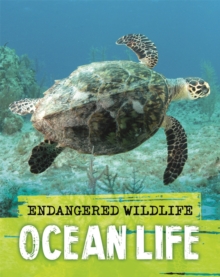 Endangered Wildlife: Rescuing Ocean Life