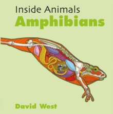 Inside Animals: Amphibians, Hardback Book Inside Animals: Amphibians, Hardback Book