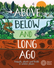 Above, Below and Long Ago : Animals, plants and fossils in unseen places