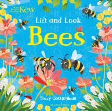 Kew: Lift and Look Bees