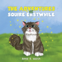 The Adventures of Squire Erstwhile