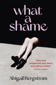 What a Shame : 'Intelligent, moving and darkly comic' The Sunday Times