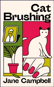 Cat Brushing : a dazzling short story collection about thirteen older women