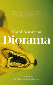 Diorama : an engrossing suspense novel set in 1980s Brazil
