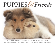 Carousel Calendars 2026 Puppies Friends Box Calendar 2026