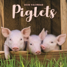Carousel Calendars 2026 Piglets Square Mini Calendar 2026