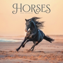 Carousel Calendars 2026 Horses Wiro Wall Calendar 2026