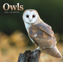 Carousel Calendars 2026 Owls Square Mini Calendar 2026