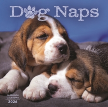 Carousel Calendars 2026 Dog Naps Square Wall Sunday Start Calend