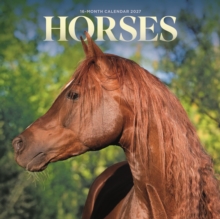 Horses M (Calendar) - Image 4