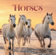 Horses Wiro Wall