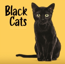Black Cats (PFP) W
