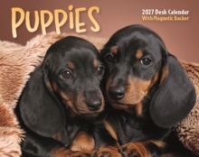 Puppies Mini Box