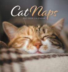 Cat Naps Easel