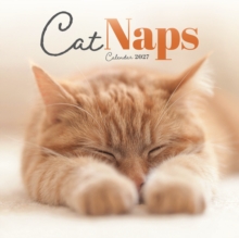 Cat Naps M / CAROUS