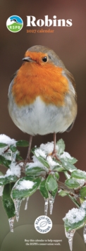RSPB Robins (PFP) Slim
